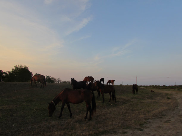 感受自由的空气图片下载