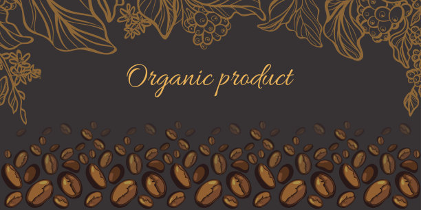 咖啡枝叶和咖啡豆。图片下载