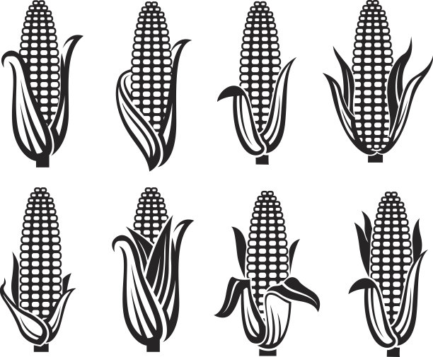 玉米图像集图片下载