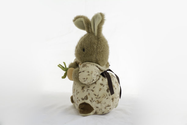 棕色兔子娃娃穿着可爱的裙子，手拿胡萝卜站在白色的背景上。图片下载