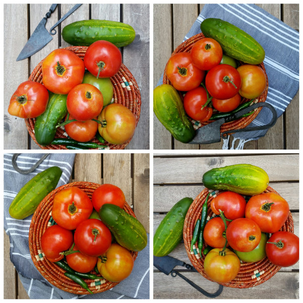 番茄和黄瓜的拼贴画图片下载