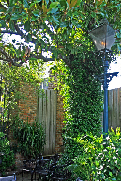 绿色植物，花园，砖墙，煤气灯的氛围图片下载