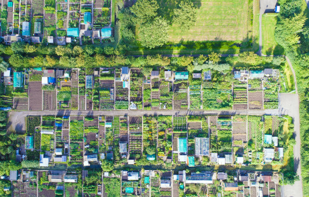 Oudewater的蔬菜园图片下载