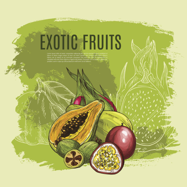 异国水果速写海报的食品，饮料设计图片下载