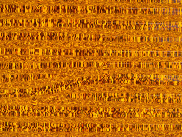 模糊抽象的背景。图片下载