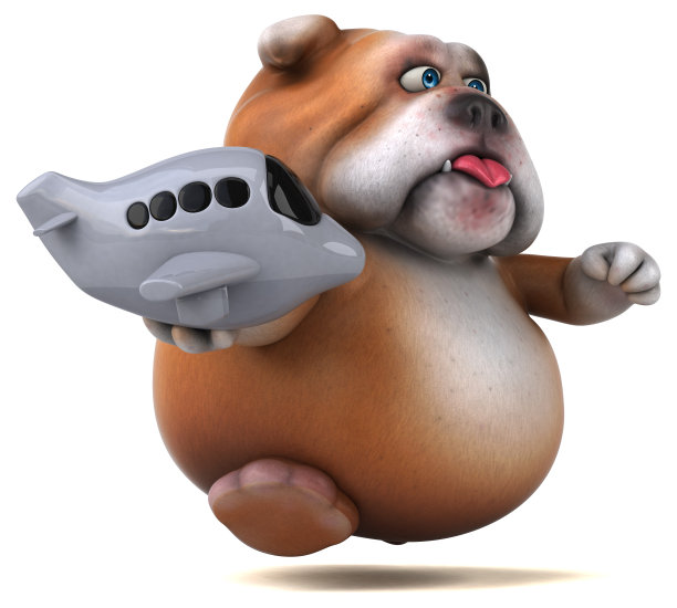 有趣的斗牛犬- 3D插图图片下载