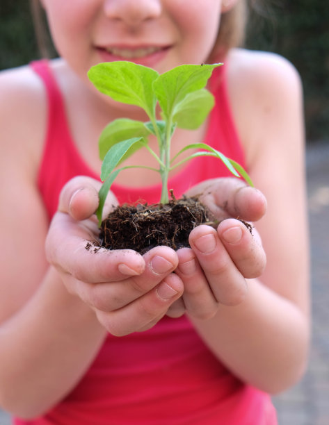 幼苗的女孩图片下载