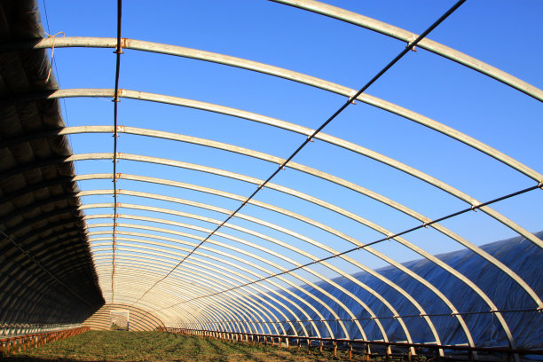 温室里弯曲的光束，特写照片图片下载