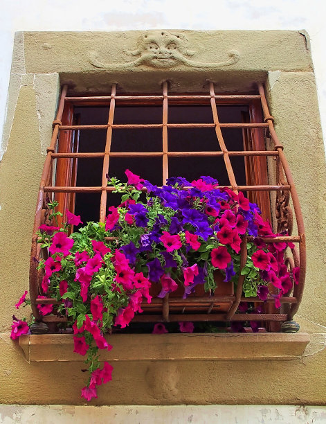 典型的带有栏杆和鲜花的窗户在哥斯达黎加圣乔治，佛罗伦萨图片下载