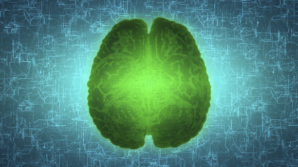 发光的绿色大脑连接在神经表面或电子导体上。人工智能(AI)和高科技概念。图片下载