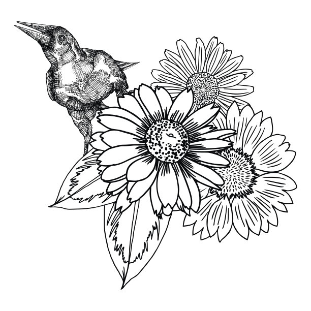 花。一束不同的手绘花。复古黑白相间，可作为请柬、贺卡、打印矢量。图片下载