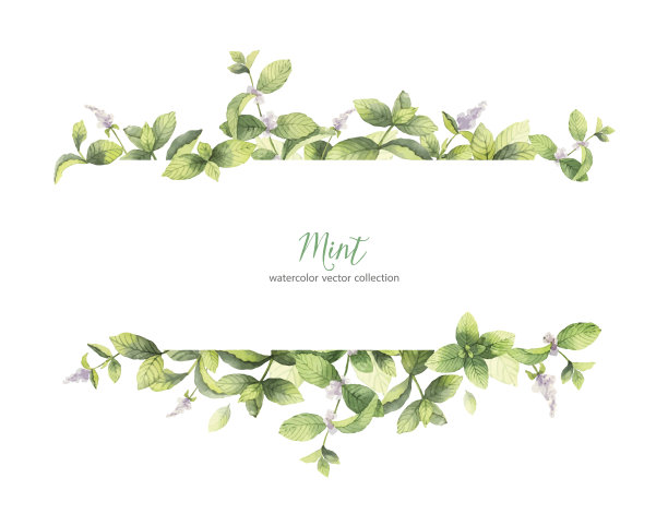 草本图片素材ID：310057728