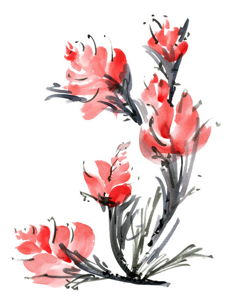 水彩花牌图片下载