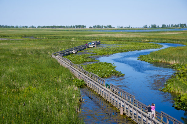 加拿大安大略省西南部的贝利角省级公园图片下载
