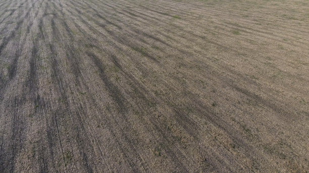 燕麦收获后翻了一半农田。夏天的特写照片图片下载