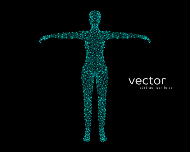 抽象矢量插图的女性身体。素材图片