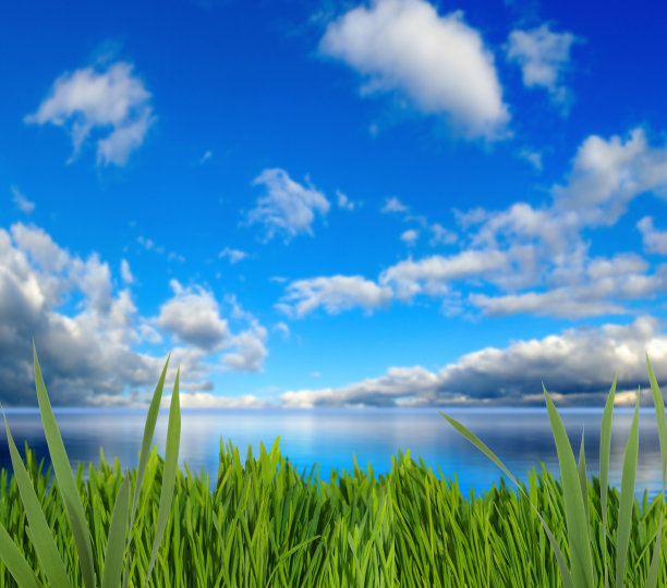 乡村景观特写图像图片下载