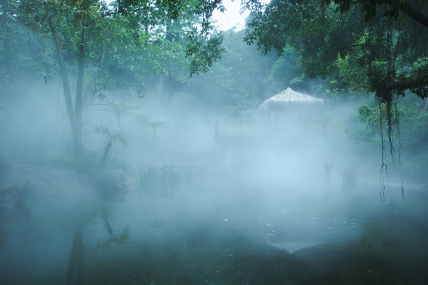 热带雨林中带有雾和树木的茅草小屋图片下载