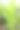 种植园里的枇杷叶，特写照片素材图片