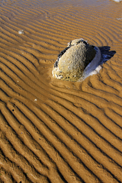 海边的海滩和礁石，特写照片图片下载