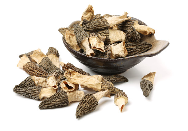 孤立的羊肚菌在白色背景素材图片