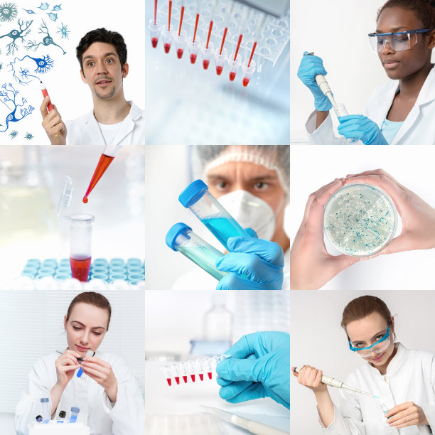 在研究设施或实验室工作的科学家，设置图片下载