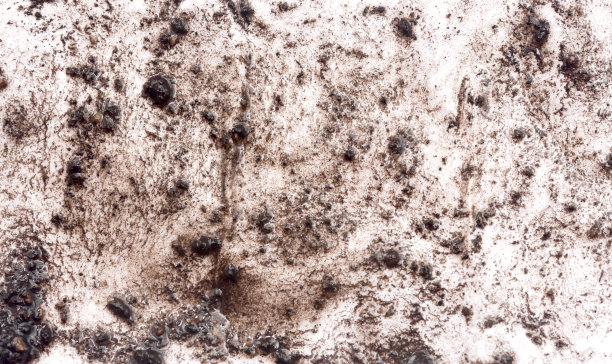 泥的背景图片下载