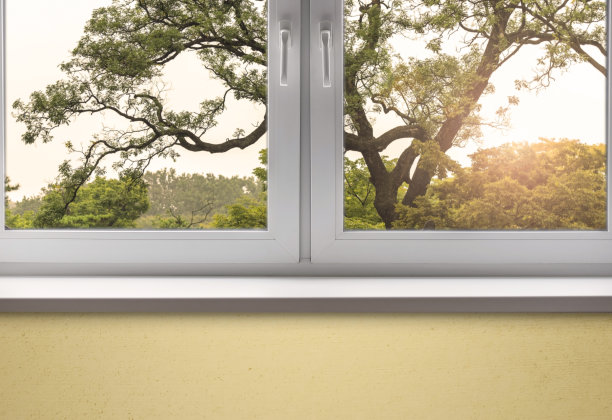 窗户框架和松林在早上，室内图片下载