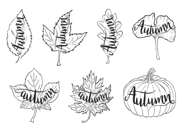 一套向量秋叶与“秋天”书法文本图片下载