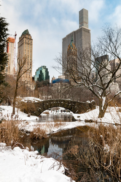 纽约中央公园的盖普斯托桥，一个冰天雪地的冬日素材图片