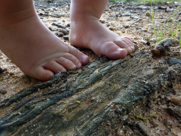 蹒跚学步的脚趾探索图片下载