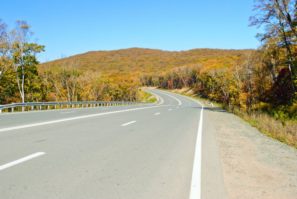 秋天的道路图片下载