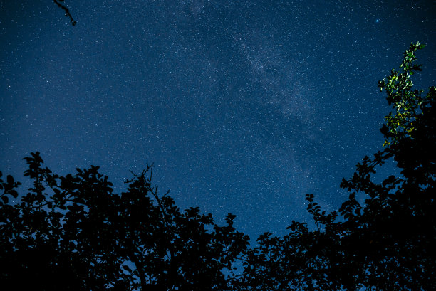 深蓝色的夜空，树上有许多星星。图片下载