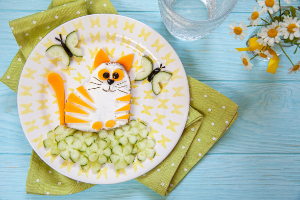 有趣的猫奶酪三明治图片下载