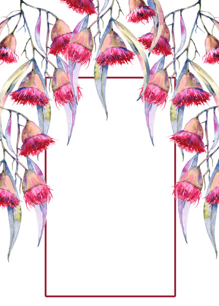 贺卡树枝树胶花。孤立在白色背景上。图片下载