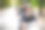 快乐的游客年轻夫妇骑摩托车在新城市。一个女人在户外骑马时拍照片图片下载