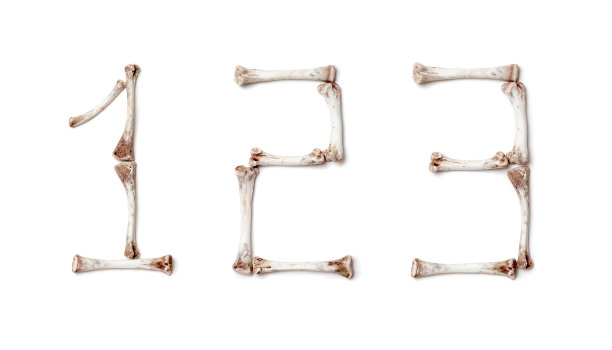 人物由白底上的鸡骨头组成图片下载