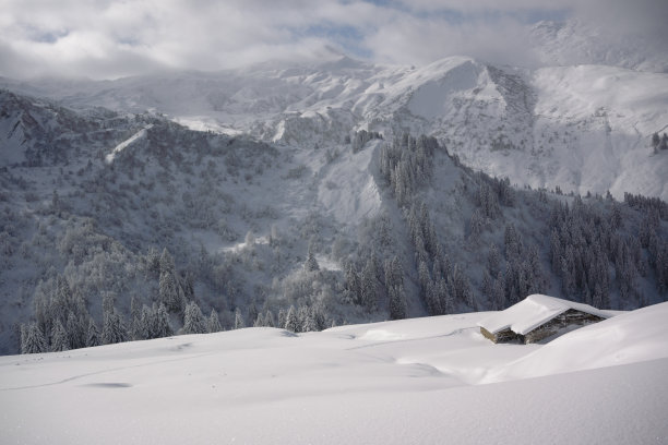 冬天的风景图片下载