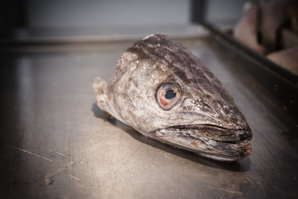 市场上的鱼头，概念图片下载