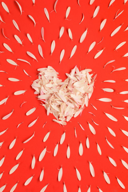 花瓣做成的心图片下载