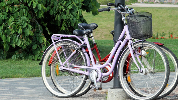 场地上的自行车。图片下载