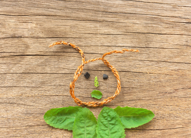 我生性幽默。我身体的某些部位正在自然中创造价值。身体，嘴巴，鼻子都是用罗勒做的。我的眼睛是石头做的，我的头是用香蕉树做的绳子做的。图片下载