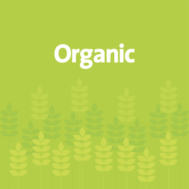 绿叶和植物的象征图片下载