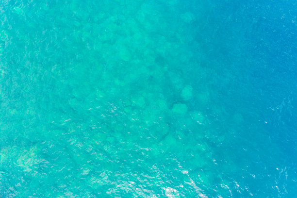 水面，绿松石的颜色与鸟的眼睛图片下载