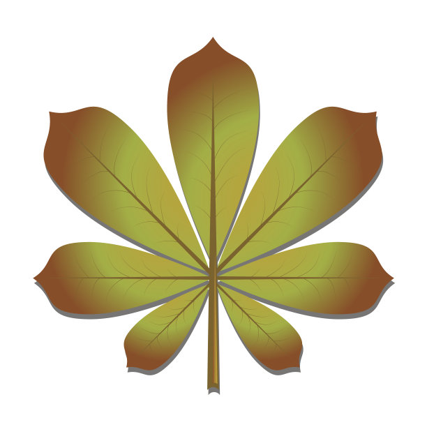 秋天的栗叶图片下载