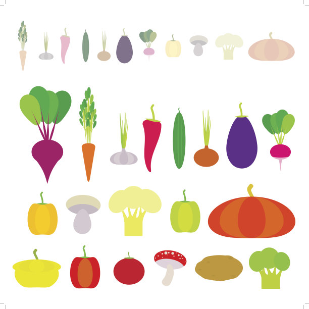 套菜青椒、南瓜、甜菜、胡萝卜、茄子、红辣椒、菜花、西兰花、土豆、蘑菇、黄瓜、洋葱、大蒜、番茄、萝卜孤立上白。向量图片下载