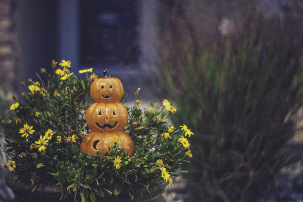 门廊上挂着万圣节南瓜灯图片下载