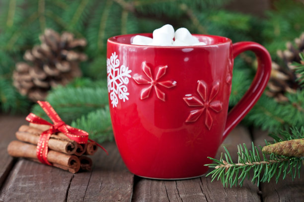 红杯子，热巧克力，棉花糖和姜饼饼干图片下载