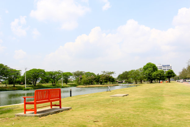 独自站在花园里的橙色木椅上图片下载