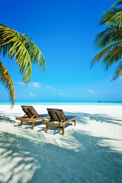 海滩图片素材ID：310233600